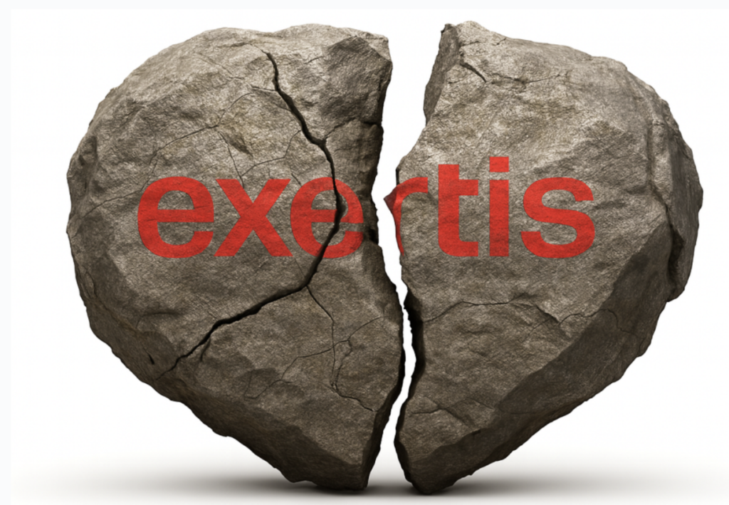 Exertis administrators begin review as suppliers await answers